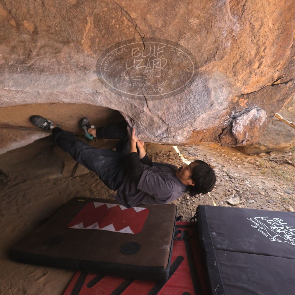 

Filename: SRM_20260118_1226400.jpg
Aperture: f/4.0
Shutter Speed: 1/320
Body: Canon EOS R6
Lens: Canon EF 16-35mm f/2.8 L