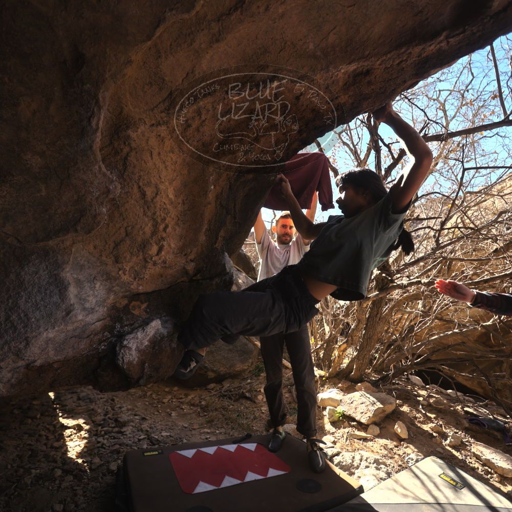 Filename: SRM_20260118_1228251.jpg
Aperture: f/4.0
Shutter Speed: 1/320
Body: Canon EOS R6
Lens: Canon EF 16-35mm f/2.8 L