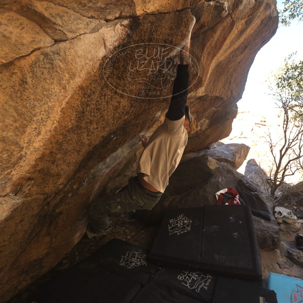 Filename: SRM_20260118_1229280.jpg
Aperture: f/4.0
Shutter Speed: 1/320
Body: Canon EOS R6
Lens: Canon EF 16-35mm f/2.8 L