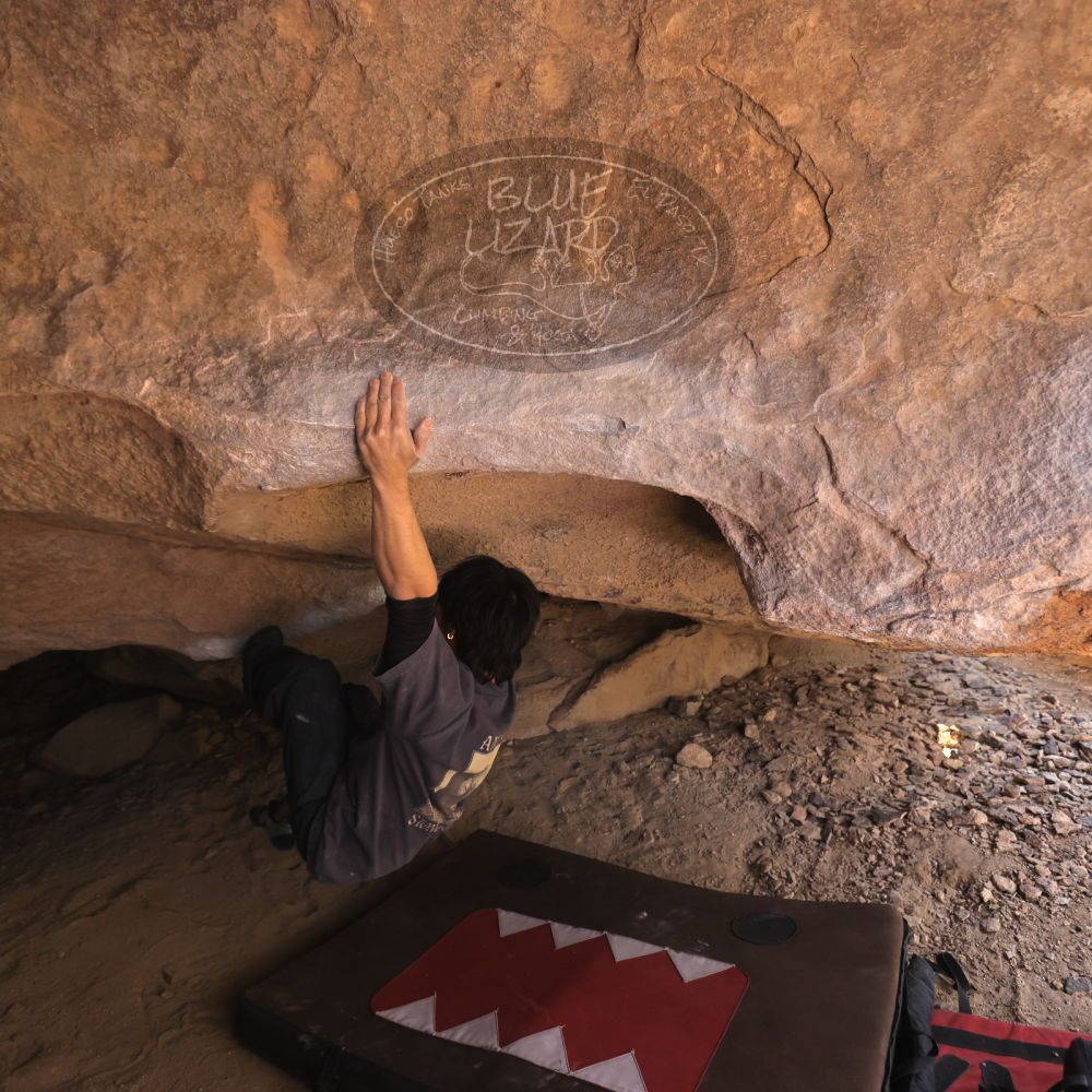 

Filename: SRM_20260118_1238390.jpg
Aperture: f/4.0
Shutter Speed: 1/400
Body: Canon EOS R6
Lens: Canon EF 16-35mm f/2.8 L