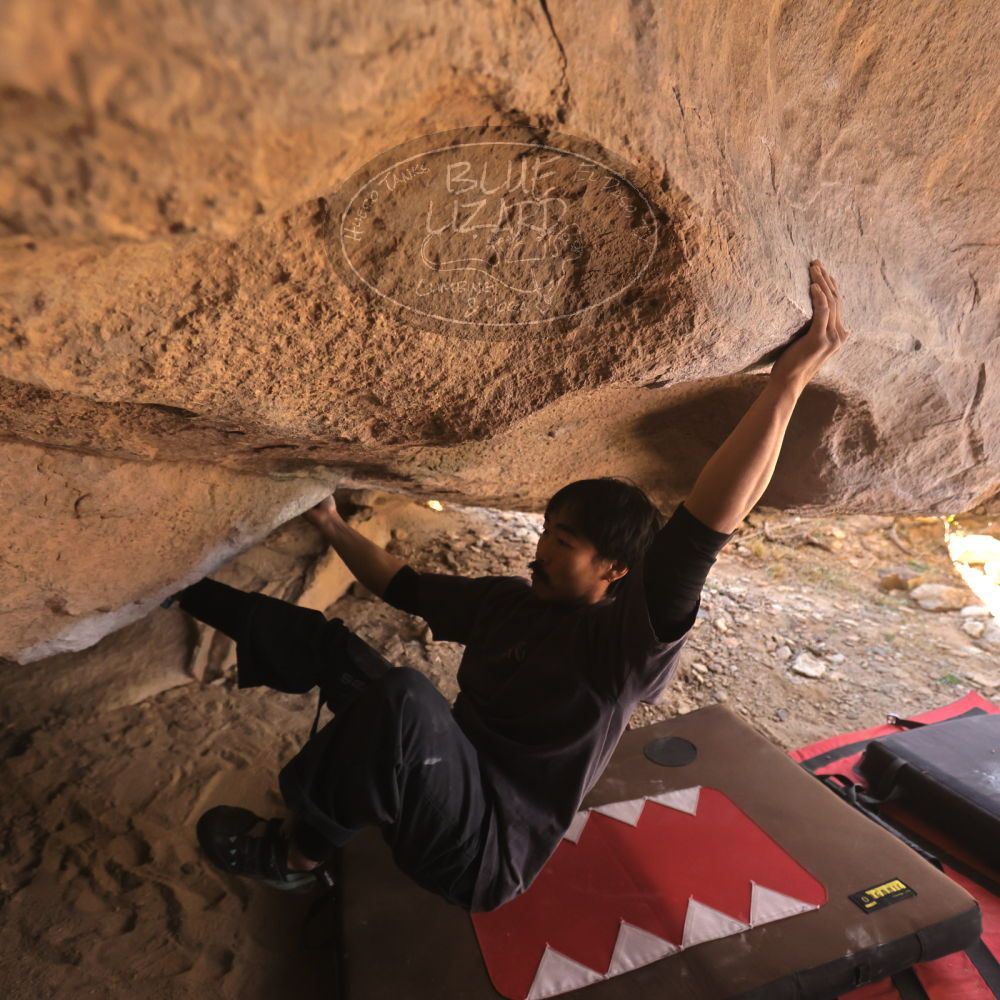 

Filename: SRM_20260118_1238440.jpg
Aperture: f/4.0
Shutter Speed: 1/400
Body: Canon EOS R6
Lens: Canon EF 16-35mm f/2.8 L