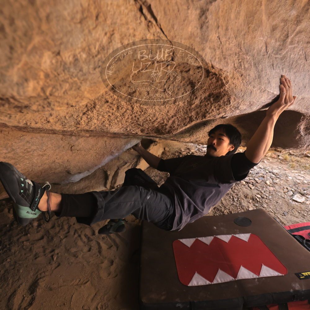 

Filename: SRM_20260118_1238460.jpg
Aperture: f/4.0
Shutter Speed: 1/400
Body: Canon EOS R6
Lens: Canon EF 16-35mm f/2.8 L