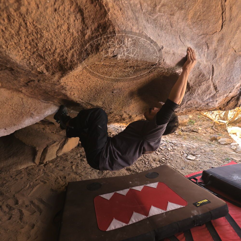 

Filename: SRM_20260118_1239030.jpg
Aperture: f/4.0
Shutter Speed: 1/400
Body: Canon EOS R6
Lens: Canon EF 16-35mm f/2.8 L