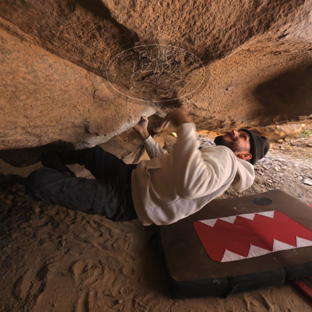 

Filename: SRM_20260118_1241110.jpg
Aperture: f/4.0
Shutter Speed: 1/400
Body: Canon EOS R6
Lens: Canon EF 16-35mm f/2.8 L