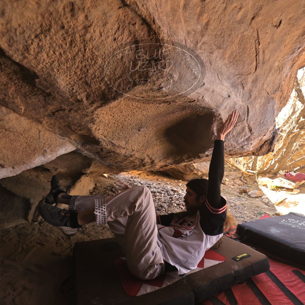 

Filename: SRM_20260118_1243440.jpg
Aperture: f/4.0
Shutter Speed: 1/400
Body: Canon EOS R6
Lens: Canon EF 16-35mm f/2.8 L