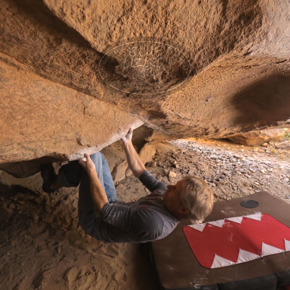 

Filename: SRM_20260118_1247420.jpg
Aperture: f/4.0
Shutter Speed: 1/400
Body: Canon EOS R6
Lens: Canon EF 16-35mm f/2.8 L