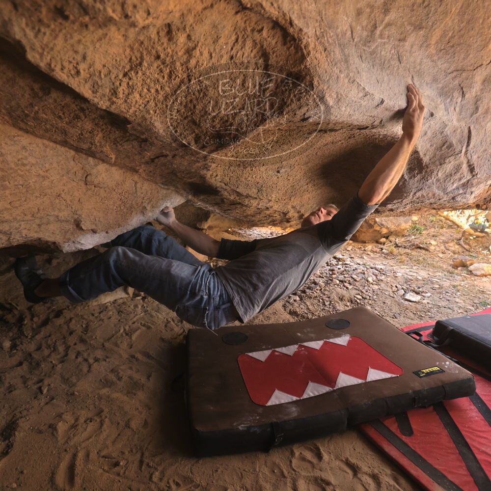 

Filename: SRM_20260118_1248340.jpg
Aperture: f/4.0
Shutter Speed: 1/400
Body: Canon EOS R6
Lens: Canon EF 16-35mm f/2.8 L