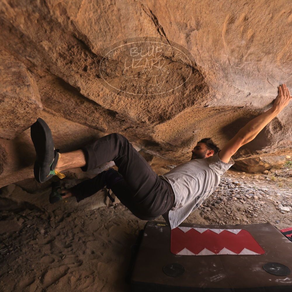 

Filename: SRM_20260118_1257440.jpg
Aperture: f/4.0
Shutter Speed: 1/400
Body: Canon EOS R6
Lens: Canon EF 16-35mm f/2.8 L