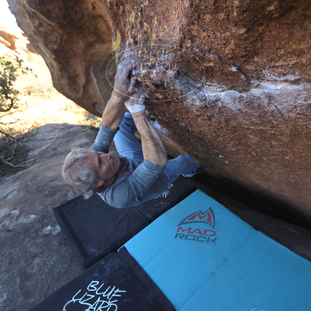 

Filename: SRM_20260118_1358200.jpg
Aperture: f/4.0
Shutter Speed: 1/400
Body: Canon EOS R6
Lens: Canon EF 16-35mm f/2.8 L