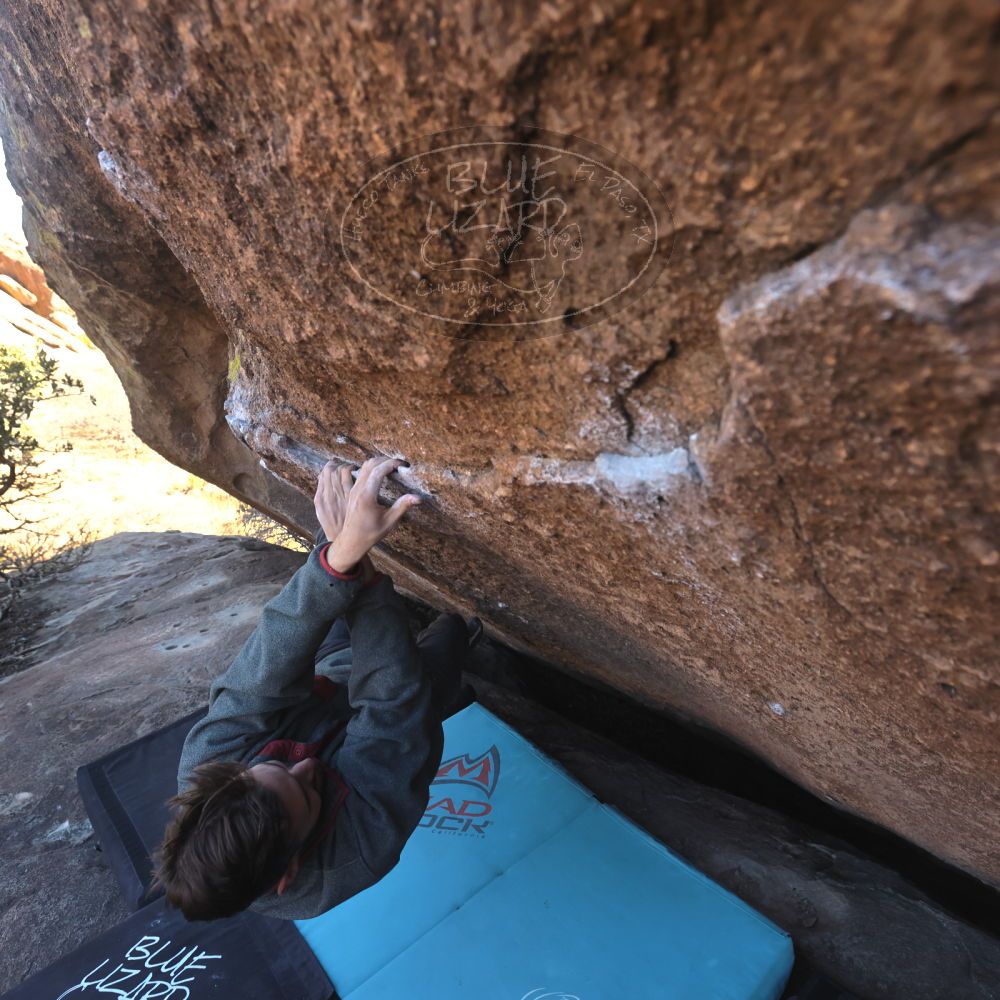 

Filename: SRM_20260118_1401530.jpg
Aperture: f/5.6
Shutter Speed: 1/400
Body: Canon EOS R6
Lens: Canon EF 16-35mm f/2.8 L