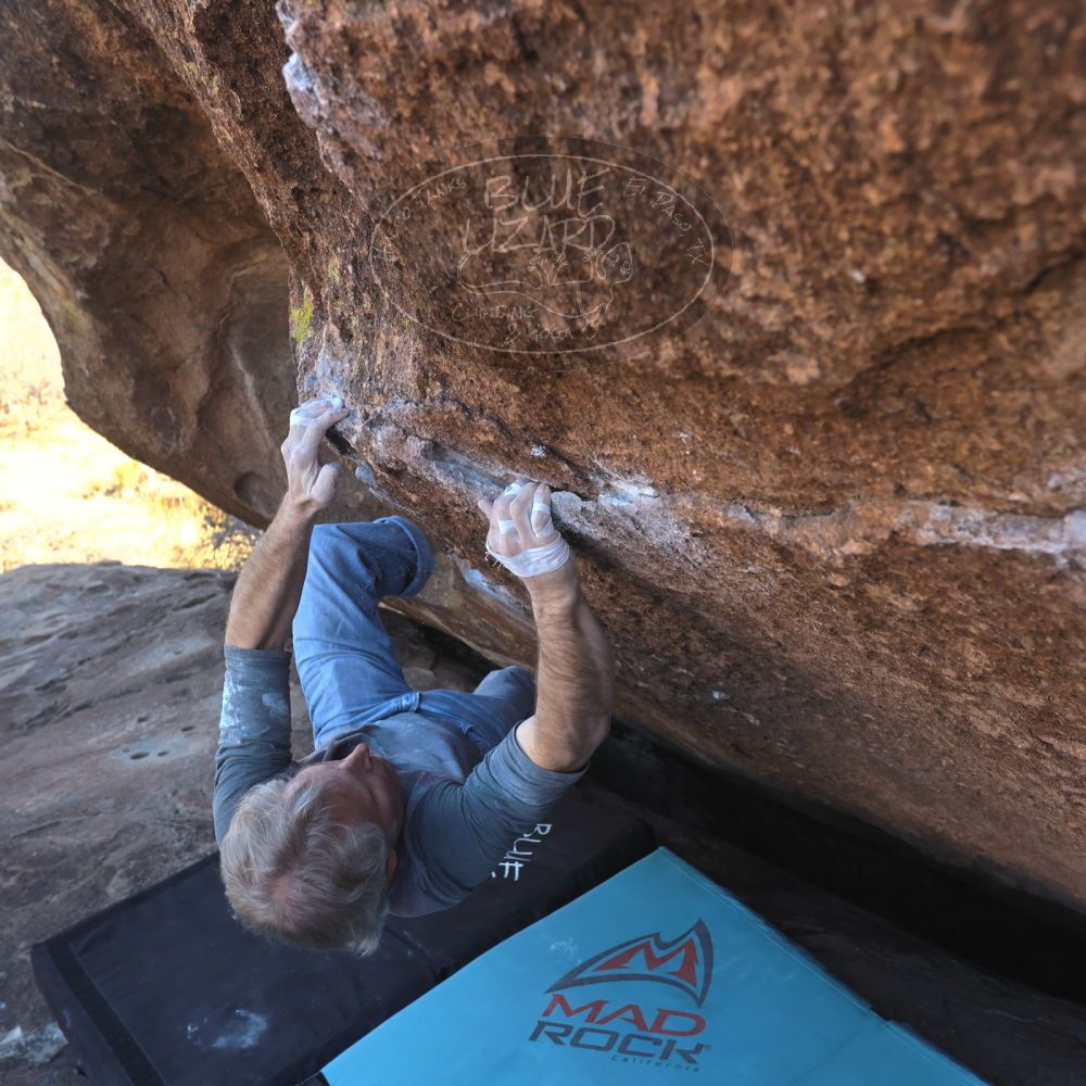 

Filename: SRM_20260118_1405360.jpg
Aperture: f/5.6
Shutter Speed: 1/400
Body: Canon EOS R6
Lens: Canon EF 16-35mm f/2.8 L