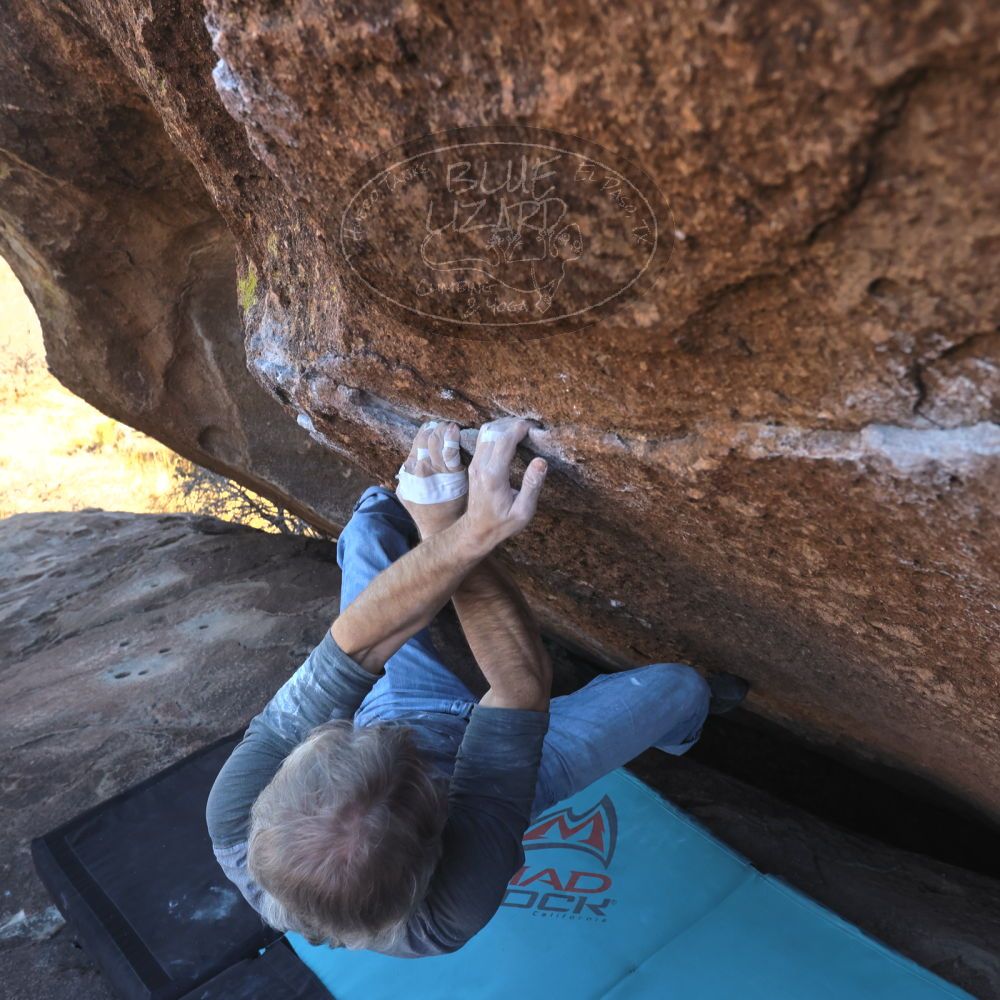 Filename: SRM_20260118_1405400.jpg
Aperture: f/5.6
Shutter Speed: 1/400
Body: Canon EOS R6
Lens: Canon EF 16-35mm f/2.8 L