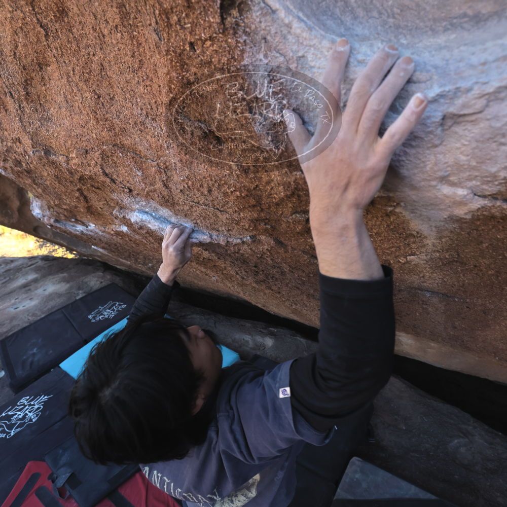 Filename: SRM_20260118_1420402.jpg
Aperture: f/5.6
Shutter Speed: 1/400
Body: Canon EOS R6
Lens: Canon EF 16-35mm f/2.8 L