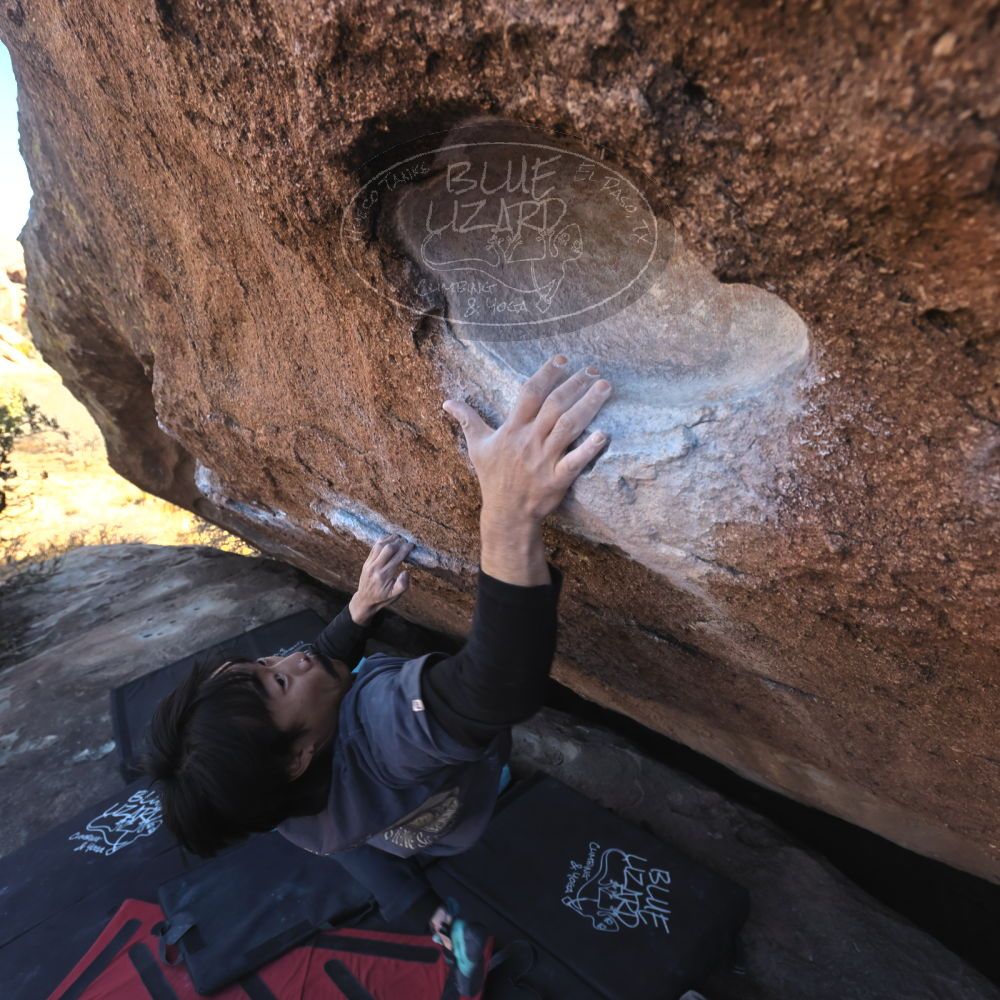 

Filename: SRM_20260118_1421180.jpg
Aperture: f/5.6
Shutter Speed: 1/400
Body: Canon EOS R6
Lens: Canon EF 16-35mm f/2.8 L