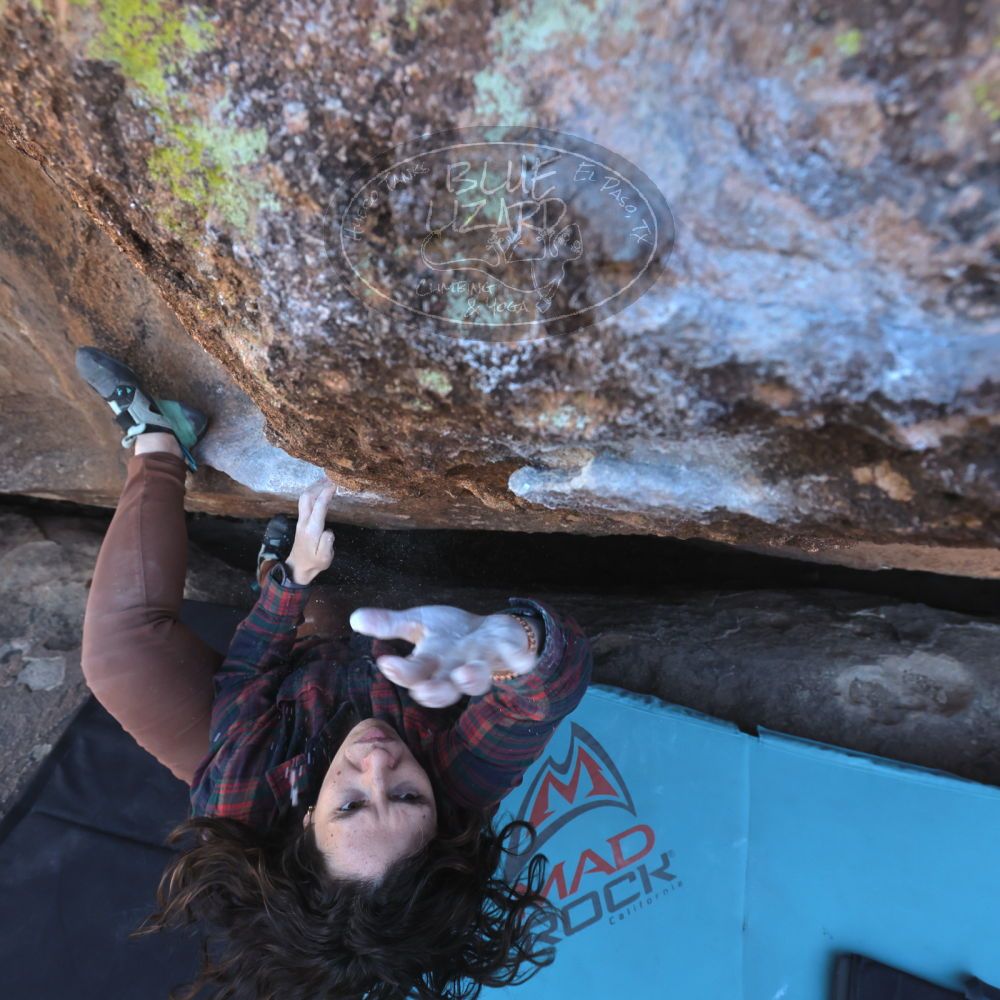 

Filename: SRM_20260118_1424161.jpg
Aperture: f/5.6
Shutter Speed: 1/400
Body: Canon EOS R6
Lens: Canon EF 16-35mm f/2.8 L