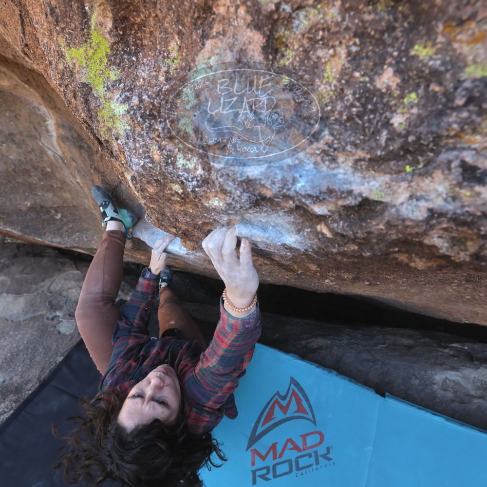 Filename: SRM_20260118_1424230.jpg
Aperture: f/5.6
Shutter Speed: 1/400
Body: Canon EOS R6
Lens: Canon EF 16-35mm f/2.8 L