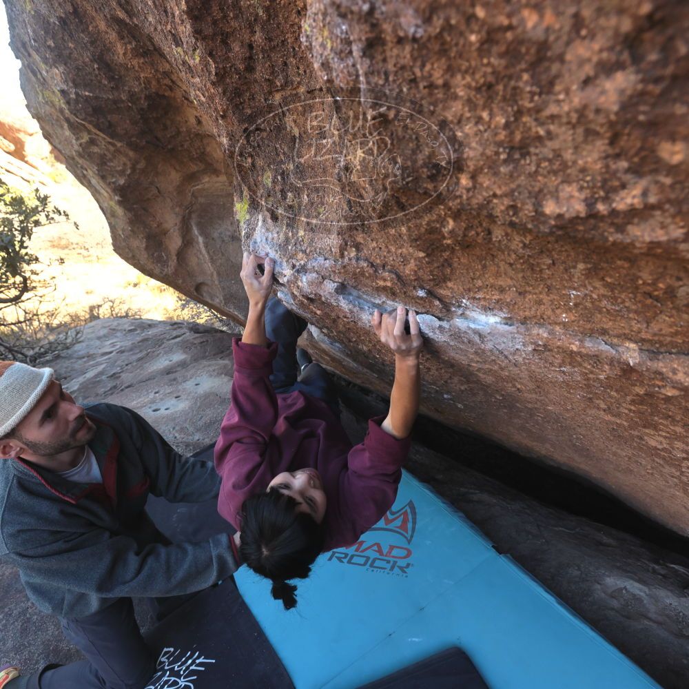 

Filename: SRM_20260118_1428220.jpg
Aperture: f/5.6
Shutter Speed: 1/400
Body: Canon EOS R6
Lens: Canon EF 16-35mm f/2.8 L