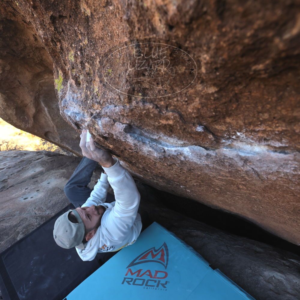 Filename: SRM_20260118_1429380.jpg
Aperture: f/5.6
Shutter Speed: 1/400
Body: Canon EOS R6
Lens: Canon EF 16-35mm f/2.8 L