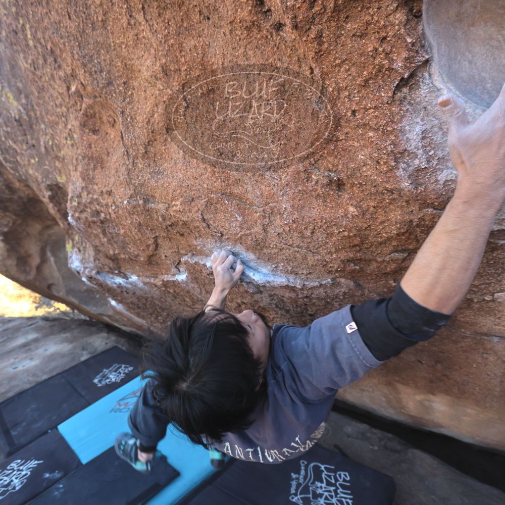 

Filename: SRM_20260118_1442430.jpg
Aperture: f/5.6
Shutter Speed: 1/400
Body: Canon EOS R6
Lens: Canon EF 16-35mm f/2.8 L