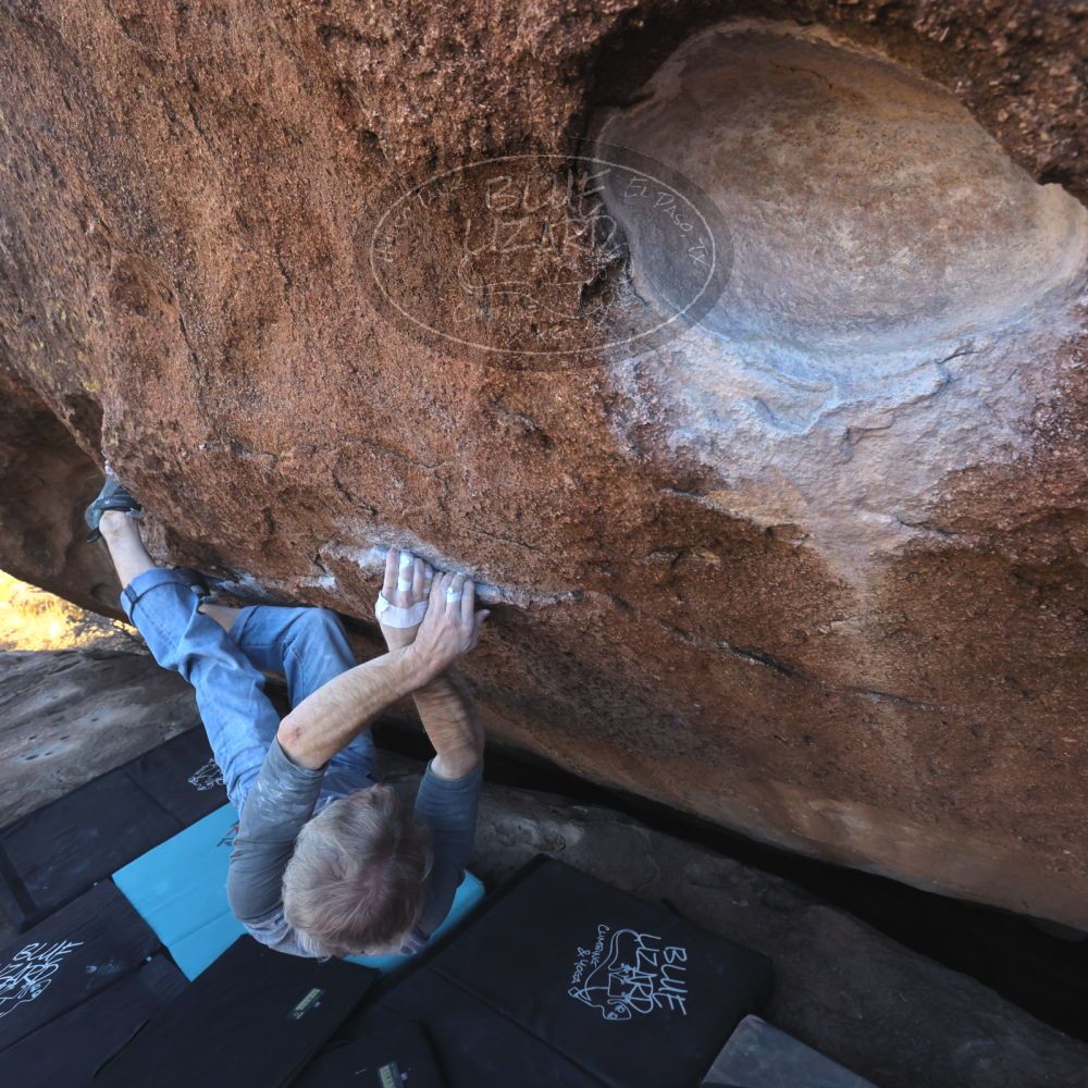 

Filename: SRM_20260118_1447460.jpg
Aperture: f/7.1
Shutter Speed: 1/400
Body: Canon EOS R6
Lens: Canon EF 16-35mm f/2.8 L