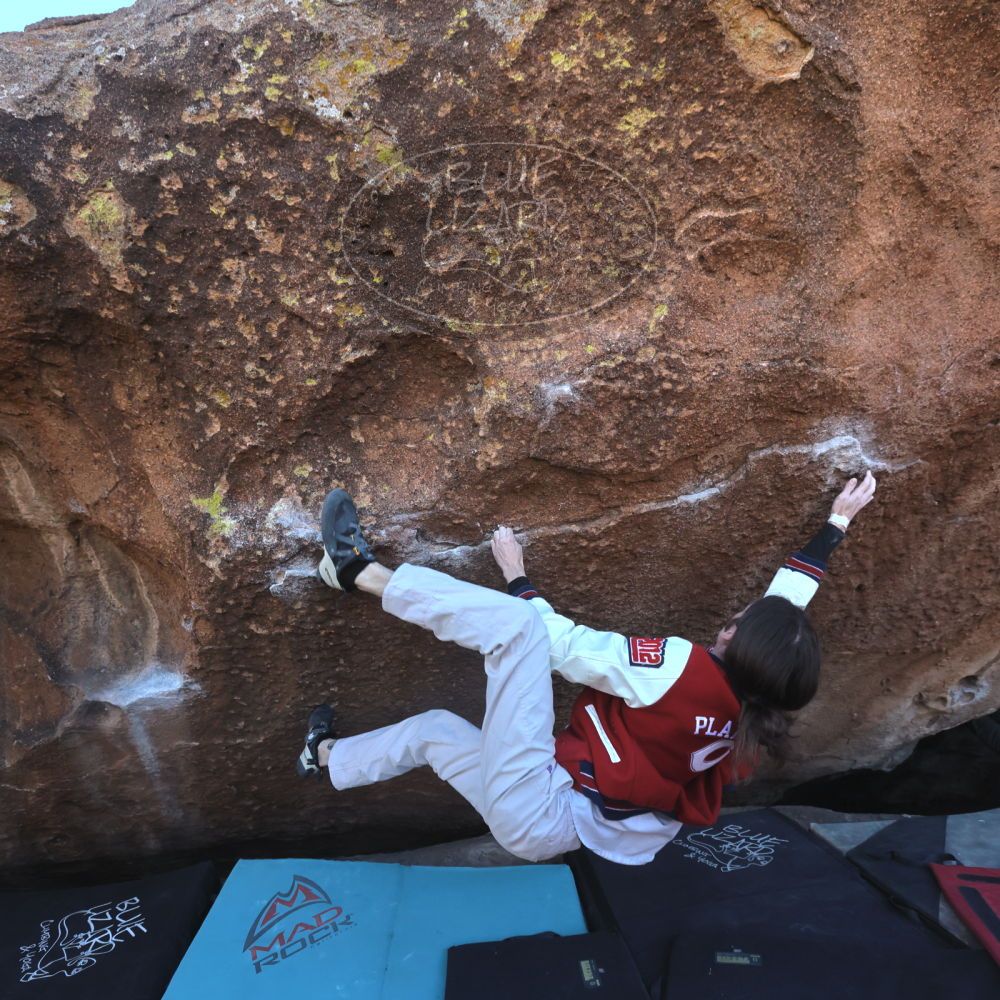 

Filename: SRM_20260118_1449190.jpg
Aperture: f/7.1
Shutter Speed: 1/400
Body: Canon EOS R6
Lens: Canon EF 16-35mm f/2.8 L