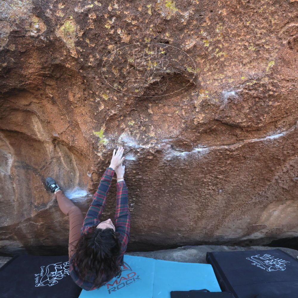 

Filename: SRM_20260118_1449550.jpg
Aperture: f/7.1
Shutter Speed: 1/400
Body: Canon EOS R6
Lens: Canon EF 16-35mm f/2.8 L