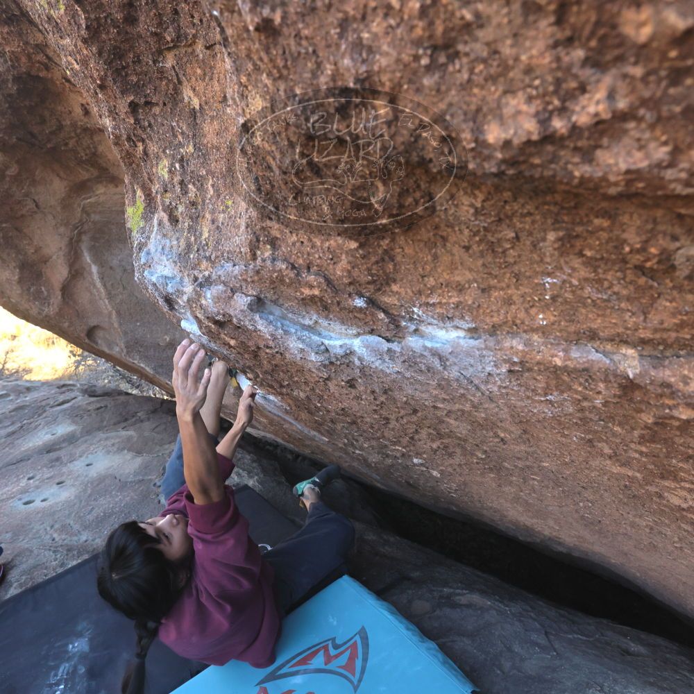 

Filename: SRM_20260118_1454060.jpg
Aperture: f/8.0
Shutter Speed: 1/400
Body: Canon EOS R6
Lens: Canon EF 16-35mm f/2.8 L