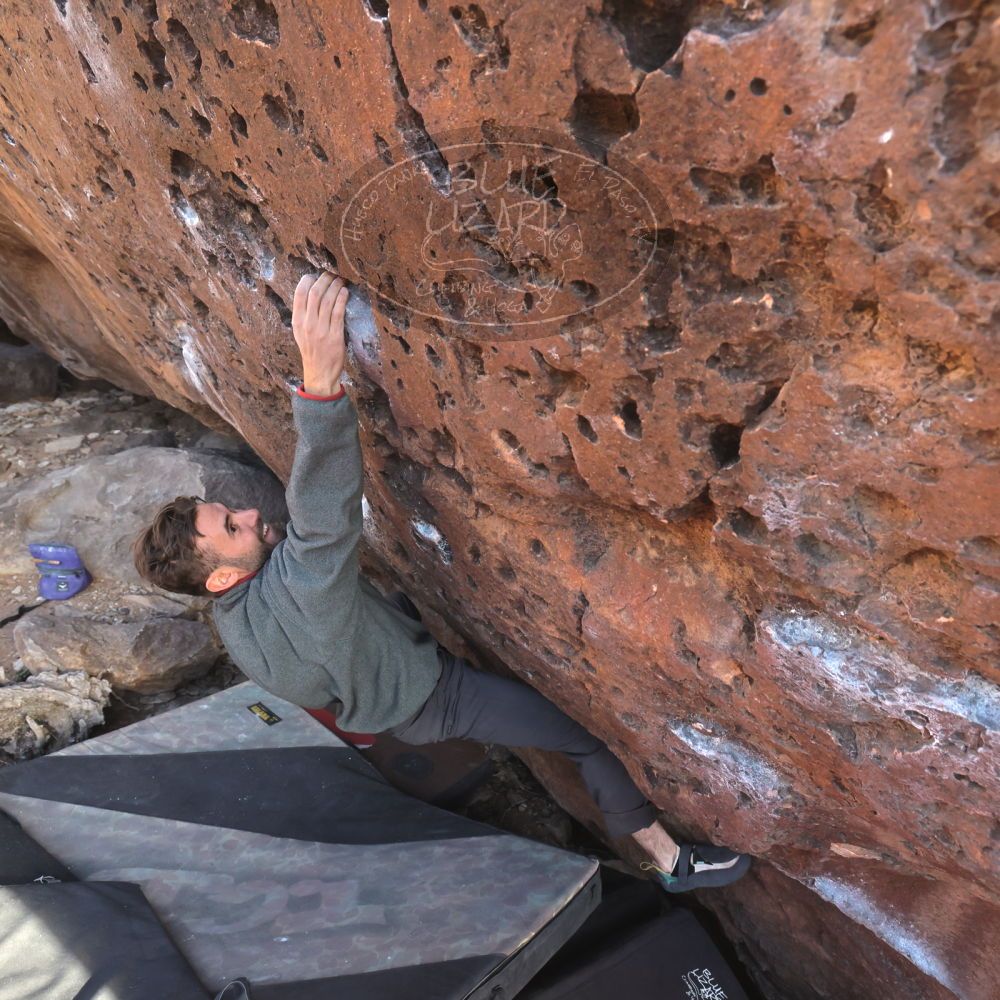 

Filename: SRM_20260118_1559240.jpg
Aperture: f/5.6
Shutter Speed: 1/400
Body: Canon EOS R6
Lens: Canon EF 16-35mm f/2.8 L