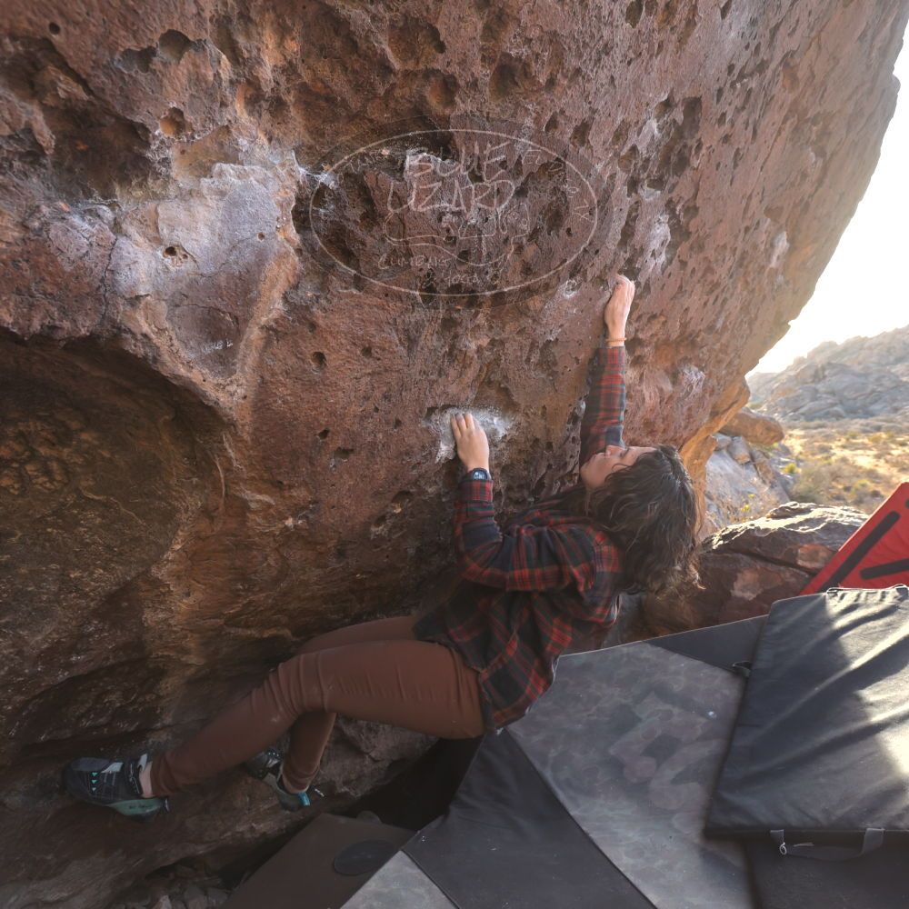 

Filename: SRM_20260118_1601150.jpg
Aperture: f/5.6
Shutter Speed: 1/400
Body: Canon EOS R6
Lens: Canon EF 16-35mm f/2.8 L