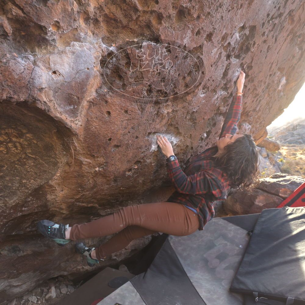 Filename: SRM_20260118_1601530.jpg
Aperture: f/5.6
Shutter Speed: 1/400
Body: Canon EOS R6
Lens: Canon EF 16-35mm f/2.8 L