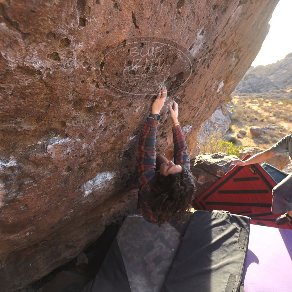 

Filename: SRM_20260118_1601590.jpg
Aperture: f/5.6
Shutter Speed: 1/400
Body: Canon EOS R6
Lens: Canon EF 16-35mm f/2.8 L