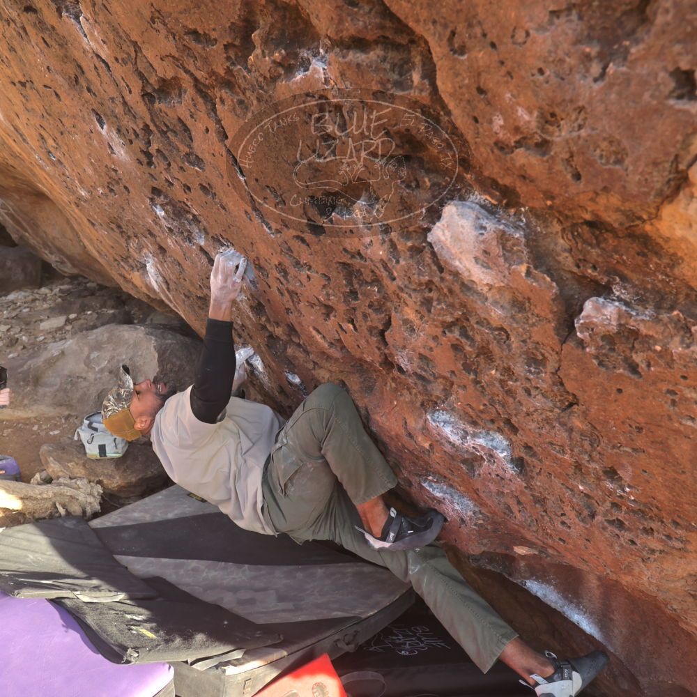 

Filename: SRM_20260118_1619480.jpg
Aperture: f/5.6
Shutter Speed: 1/400
Body: Canon EOS R6
Lens: Canon EF 16-35mm f/2.8 L