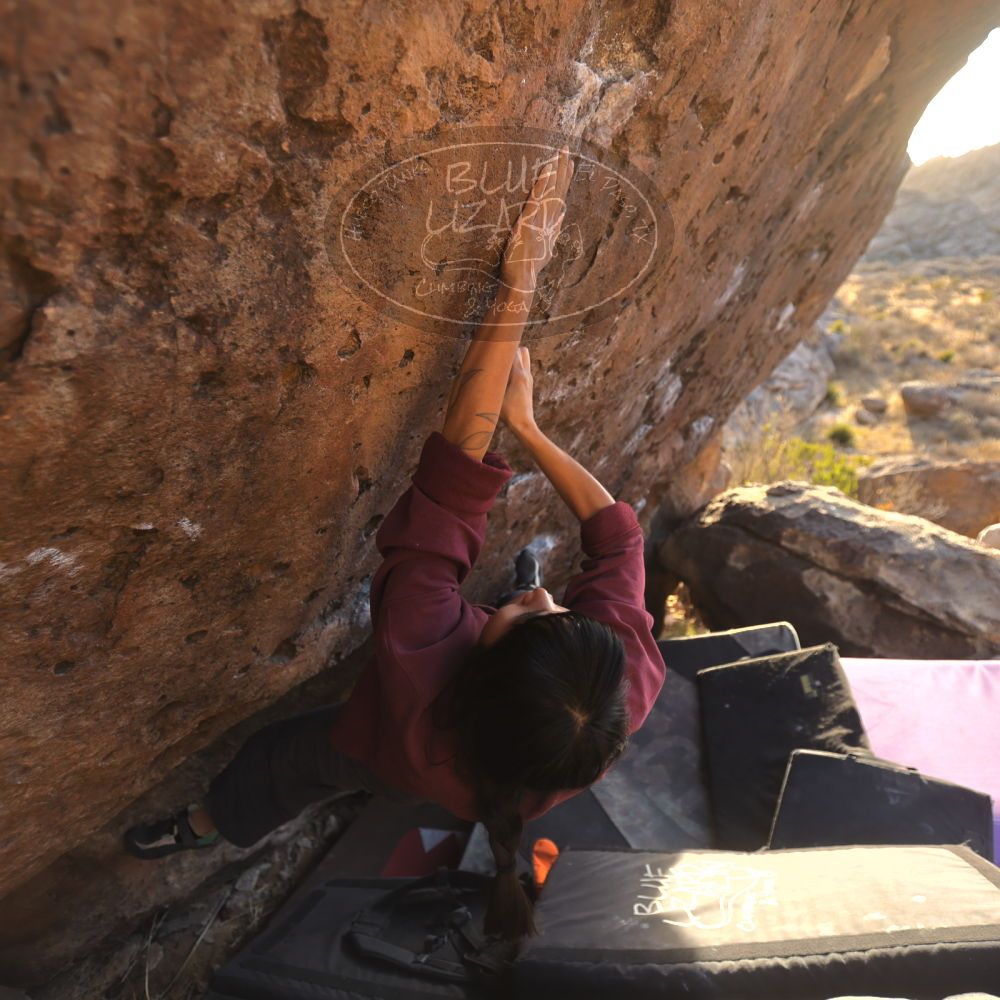 Filename: SRM_20260118_1633060.jpg
Aperture: f/2.8
Shutter Speed: 1/400
Body: Canon EOS R6
Lens: Canon EF 16-35mm f/2.8 L