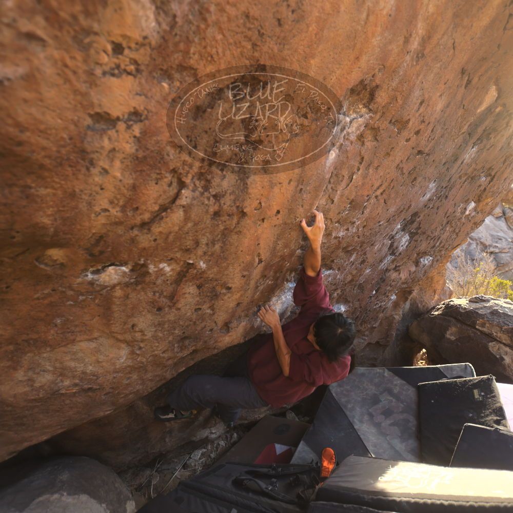 

Filename: SRM_20260118_1634330.jpg
Aperture: f/3.2
Shutter Speed: 1/400
Body: Canon EOS R6
Lens: Canon EF 16-35mm f/2.8 L