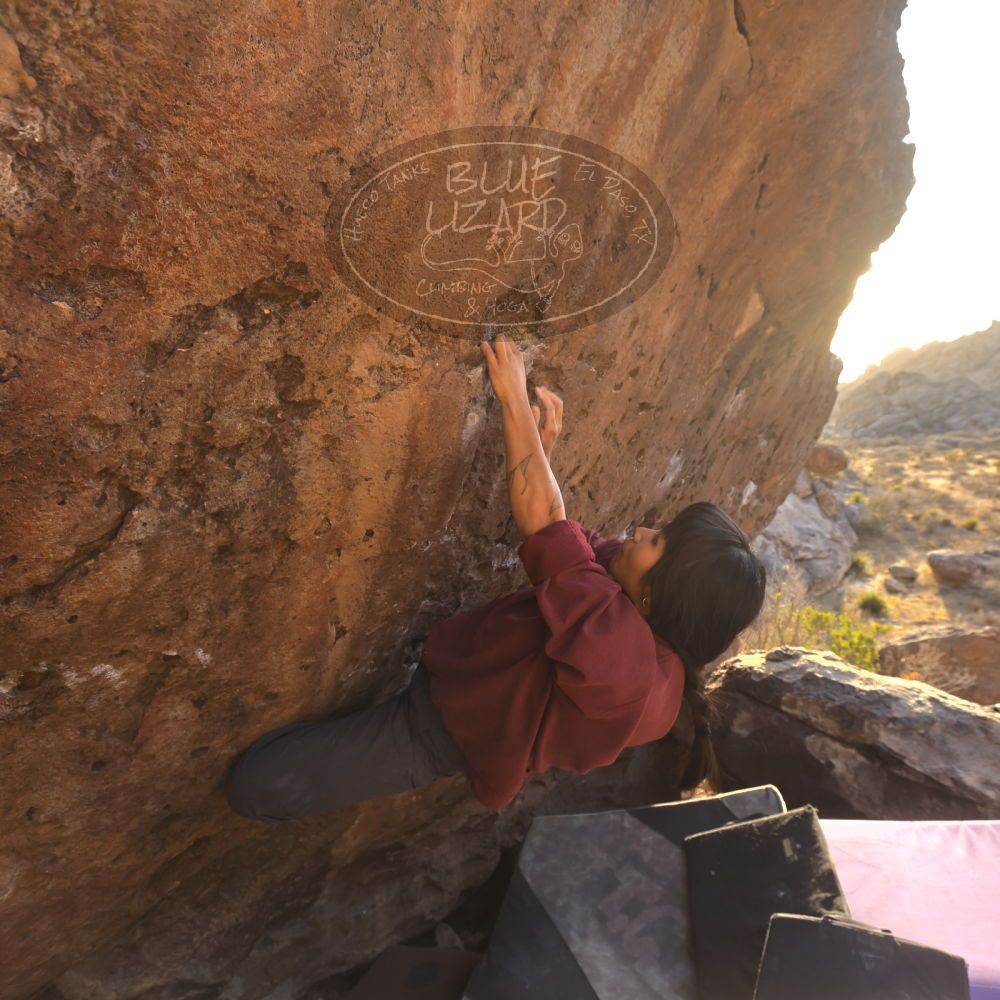 

Filename: SRM_20260118_1635461.jpg
Aperture: f/5.6
Shutter Speed: 1/400
Body: Canon EOS R6
Lens: Canon EF 16-35mm f/2.8 L