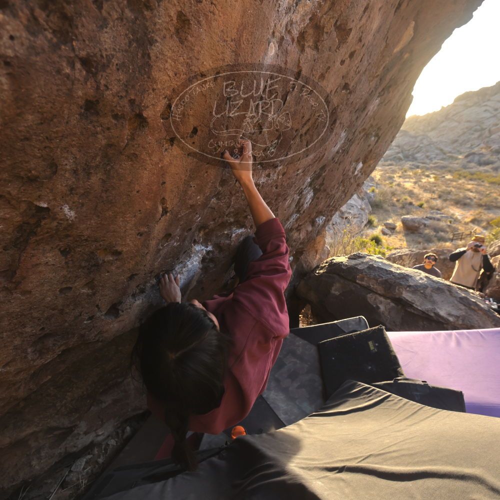 

Filename: SRM_20260118_1641260.jpg
Aperture: f/5.6
Shutter Speed: 1/400
Body: Canon EOS R6
Lens: Canon EF 16-35mm f/2.8 L