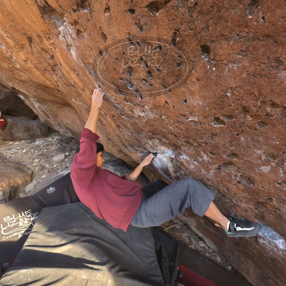 

Filename: SRM_20260118_1644450.jpg
Aperture: f/5.6
Shutter Speed: 1/400
Body: Canon EOS R6
Lens: Canon EF 16-35mm f/2.8 L