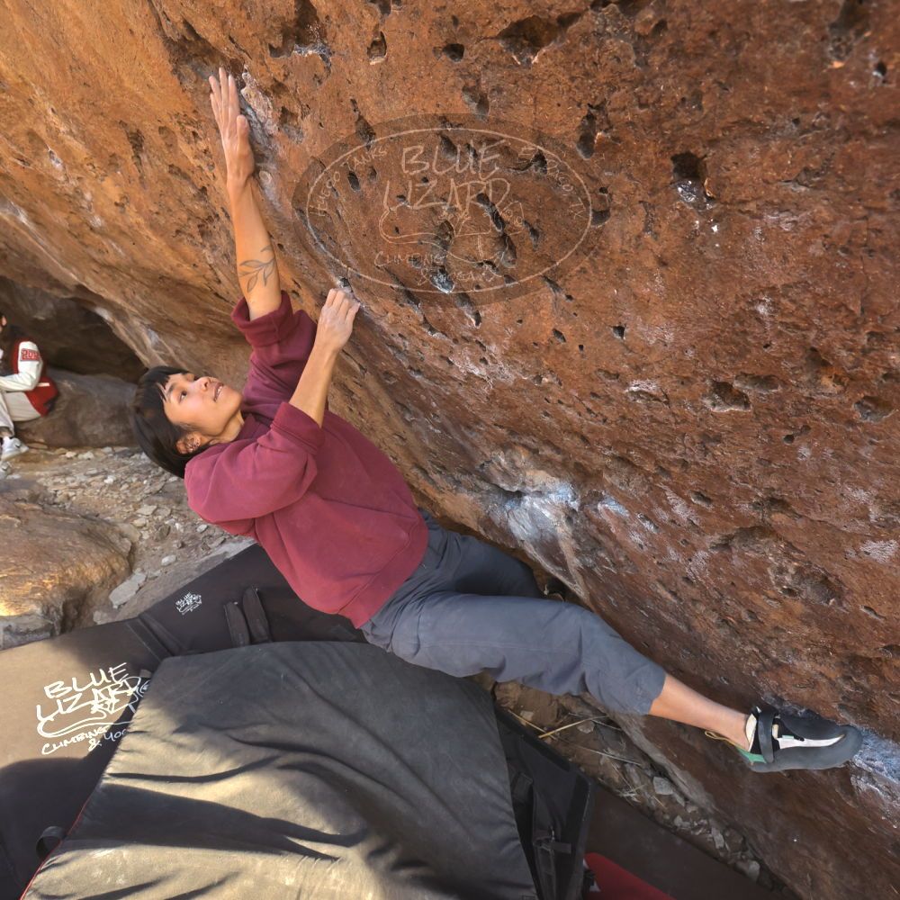 Filename: SRM_20260118_1644480.jpg
Aperture: f/5.6
Shutter Speed: 1/400
Body: Canon EOS R6
Lens: Canon EF 16-35mm f/2.8 L