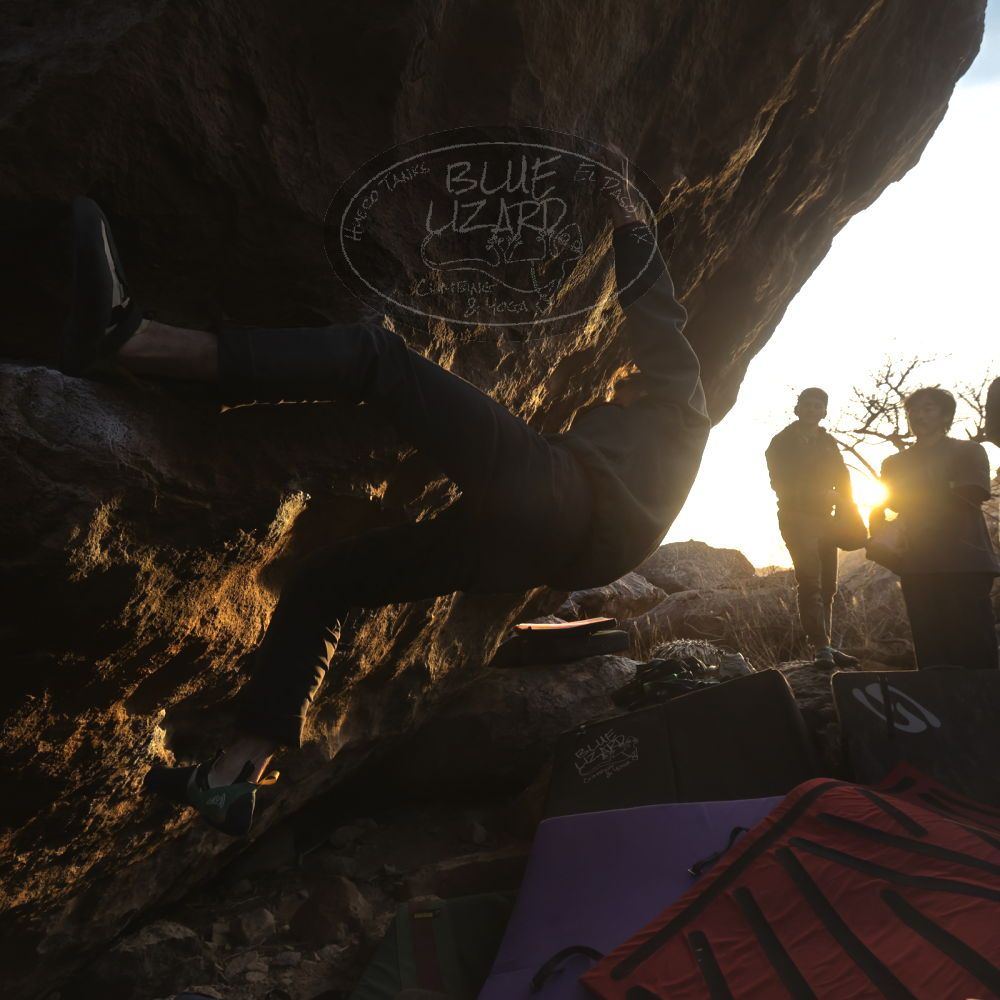 Filename: SRM_20260118_1708200.jpg
Aperture: f/5.6
Shutter Speed: 1/400
Body: Canon EOS R6
Lens: Canon EF 16-35mm f/2.8 L