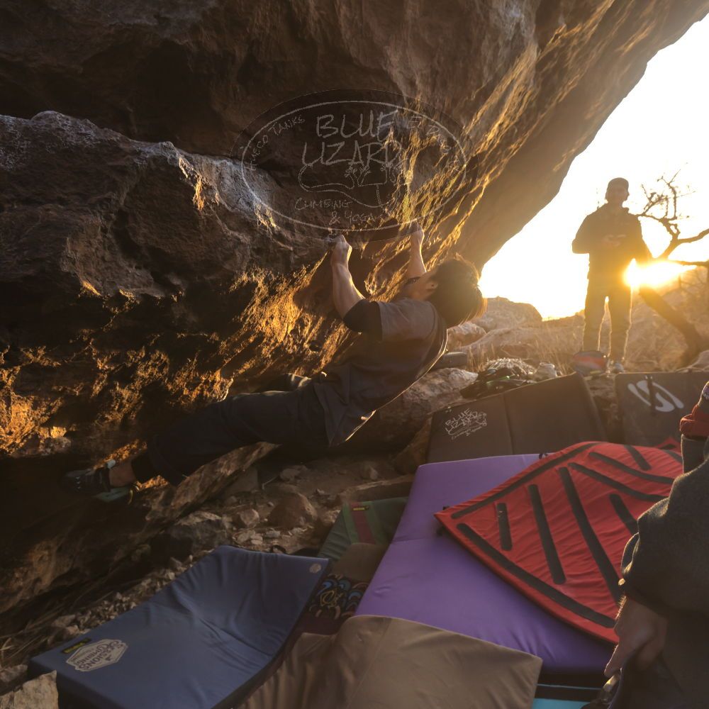 

Filename: SRM_20260118_1714390.jpg
Aperture: f/5.6
Shutter Speed: 1/400
Body: Canon EOS R6
Lens: Canon EF 16-35mm f/2.8 L