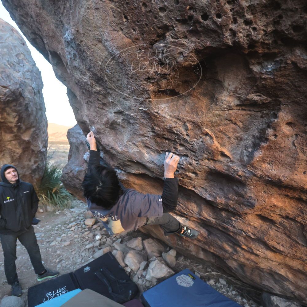 Filename: SRM_20260118_1732450.jpg
Aperture: f/4.0
Shutter Speed: 1/320
Body: Canon EOS R6
Lens: Canon EF 16-35mm f/2.8 L