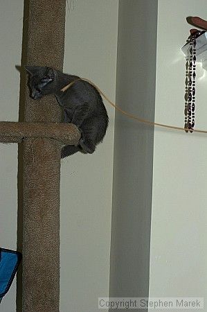 1020409145

Filename: srm_20050618_185004_5_std.jpg
Aperture: f/6.3
Shutter Speed: 1/200
Body: Canon EOS 20D
Lens: Canon EF 50mm f/1.8 II