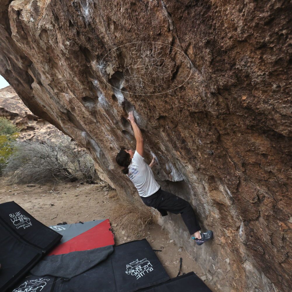 

Filename: SRM_20260207_1059530.jpg
Aperture: f/5.6
Shutter Speed: 1/800
Body: Canon EOS R6
Lens: Canon EF 16-35mm f/2.8 L