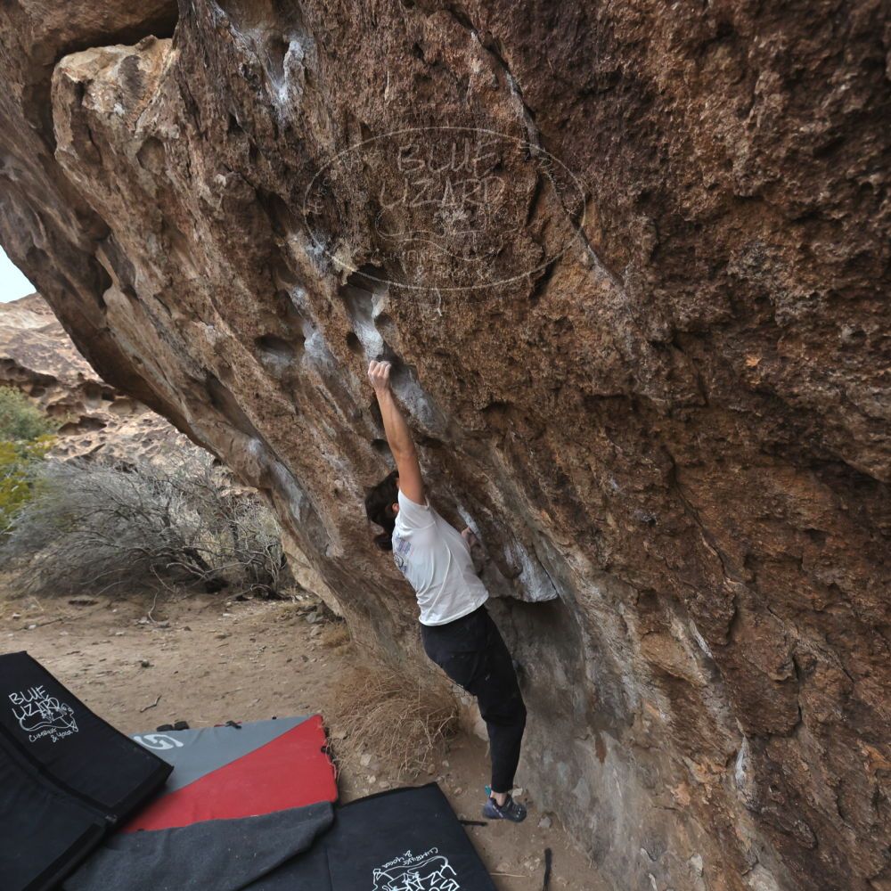 

Filename: SRM_20260207_1059560.jpg
Aperture: f/5.6
Shutter Speed: 1/800
Body: Canon EOS R6
Lens: Canon EF 16-35mm f/2.8 L