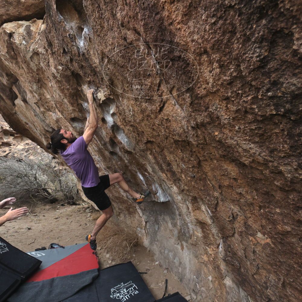 

Filename: SRM_20260207_1101410.jpg
Aperture: f/5.6
Shutter Speed: 1/800
Body: Canon EOS R6
Lens: Canon EF 16-35mm f/2.8 L