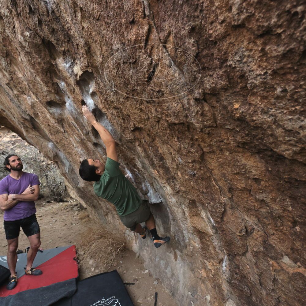 

Filename: SRM_20260207_1103000.jpg
Aperture: f/5.6
Shutter Speed: 1/800
Body: Canon EOS R6
Lens: Canon EF 16-35mm f/2.8 L