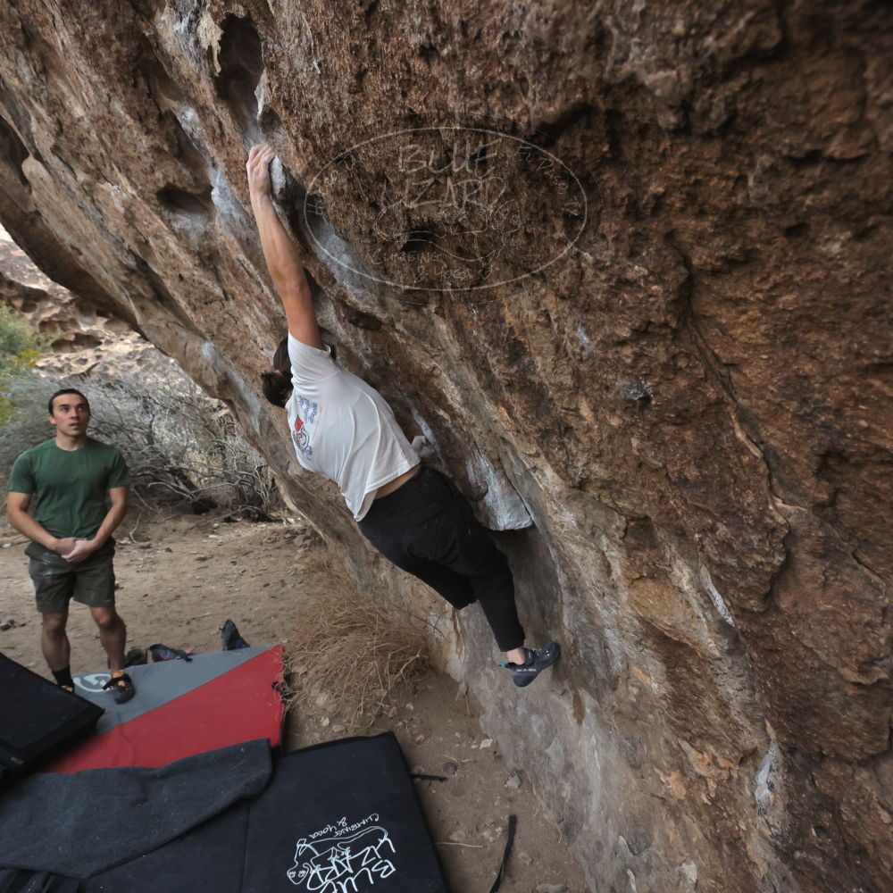 

Filename: SRM_20260207_1104160.jpg
Aperture: f/5.6
Shutter Speed: 1/800
Body: Canon EOS R6
Lens: Canon EF 16-35mm f/2.8 L