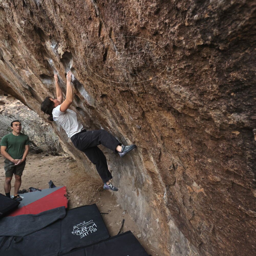 

Filename: SRM_20260207_1104210.jpg
Aperture: f/5.6
Shutter Speed: 1/800
Body: Canon EOS R6
Lens: Canon EF 16-35mm f/2.8 L