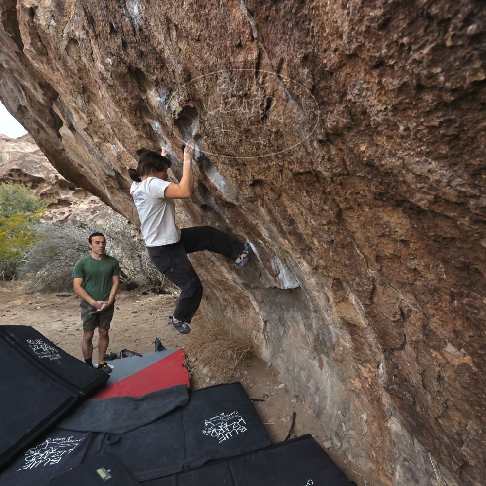 

Filename: SRM_20260207_1104221.jpg
Aperture: f/5.6
Shutter Speed: 1/800
Body: Canon EOS R6
Lens: Canon EF 16-35mm f/2.8 L