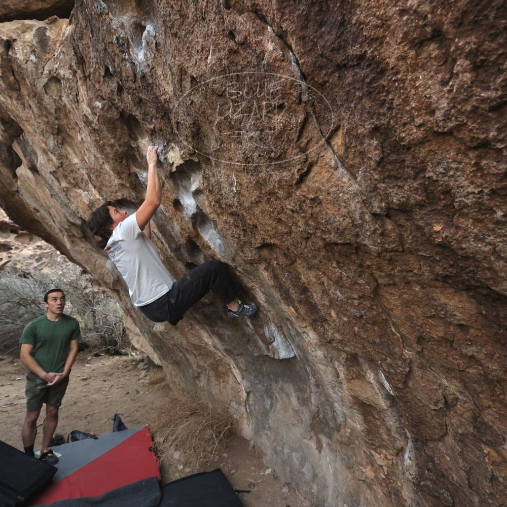 

Filename: SRM_20260207_1104270.jpg
Aperture: f/5.6
Shutter Speed: 1/800
Body: Canon EOS R6
Lens: Canon EF 16-35mm f/2.8 L